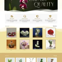 طراح سایت وردپرس، طراحی فروشگاه، سئو، پشتیبانی