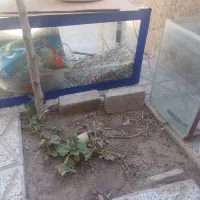 اکواریوم