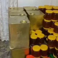 عسل واقعی اینجاست