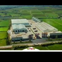 جذب نیروی خانم روزمزدی