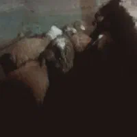 ۸عددبره نردرجه یک