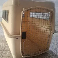 باکس  سگ نژاد بزرگ