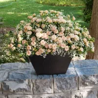 گل آرایی اصفهان