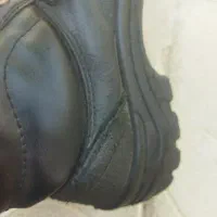 شرکتی