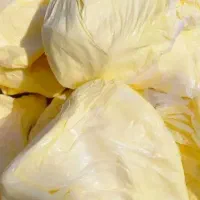 کره بهداشتی گاو