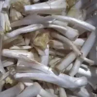 پاک شده|خوردنی و آشامیدنی|طرقبه, |دیوار