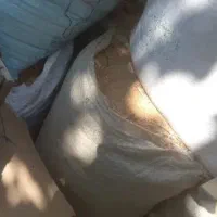 ۱۰گونی خاک اره چوب گردو