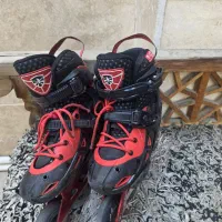 اسکیت حرفه ای فلایینگ ایگل s9