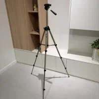 پایه دوربین FT-363 + مونوپاد (اشانتیون)