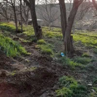 زمین،باغ|فروش زمین و ملک کلنگی|هشتگرد, خور|دیوار