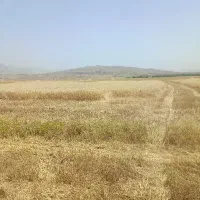 زمین فروش زمین باغملک