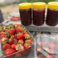 مربای خانگی توت فرنگی