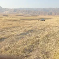 فروش کاه گندم دیم .