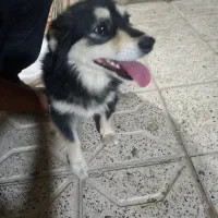 قیمت ۲۰۰۰۰۰۰۰