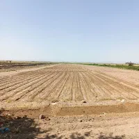 فروش زمین کشاورزی