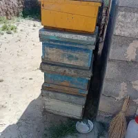 کندوی عسل