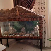 آکواریوم کلبه چوبی