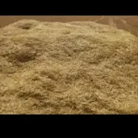 کاه گندم کوپه خیلی بزرگ