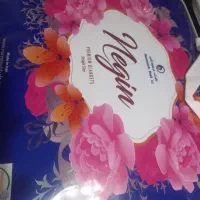 پتونگین نرمینه برجسته