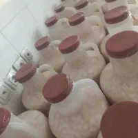 ترشی سیر مروارید سیر کارمندی