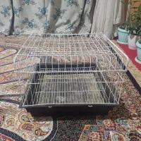 قفس خرگوش