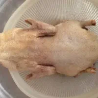 اردک اسرائیلی