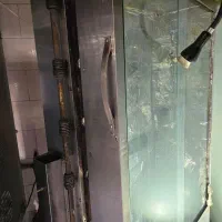 فر مرغ بریان