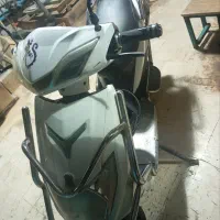 zd6