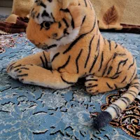عروسک