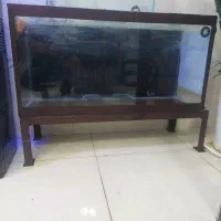 آکواریوم