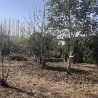 فروش-زمین-مسکونی