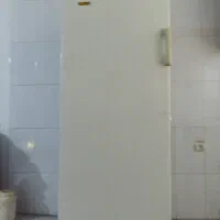 فریزرمدل ایستاده ارج