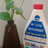 نماینده رسمی فروش بودیت در مشهد مقدس