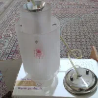 لوسترتک شاخه هست نوهست اصلا استفاده نشده