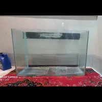آکواریوم ماهی|ماهی|گنبد کاووس, |دیوار