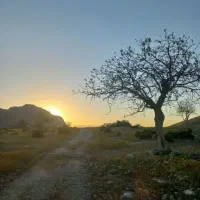 زمین کشاورزی