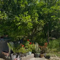 شفت خانه دوخوابه ۱۵۳۰ متری سند ششدانگ فرصت سرمایه