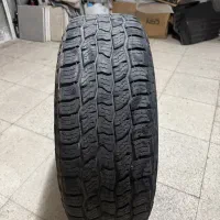 لاستیک آفرودی