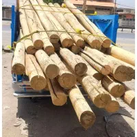 خرید تیرچوبی سقفی و انواع چوب تر و هرس درختان