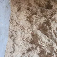 کاه گندم
