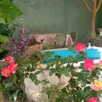 مراقب خانم و آقا