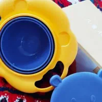 ظرف غذای تعادلی