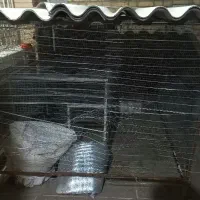 قفس حیوانات