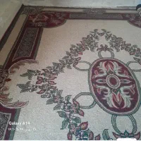دو عدد قالی ۱۲ متری
