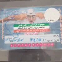 کارت‌استخر