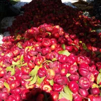 نهال ممتازآذربایجان