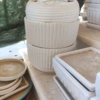 گلدان|گل و گیاه طبیعی|سپیدان, |دیوار