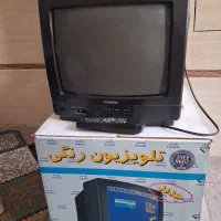 تلویزیون