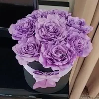 باکس ربانی