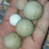 سنگ آسیاب ۶ عدد قدیمی و چند عددسنگ